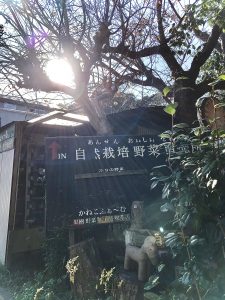 かねこふぁ〜む