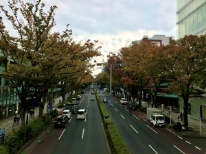 表参道 初秋