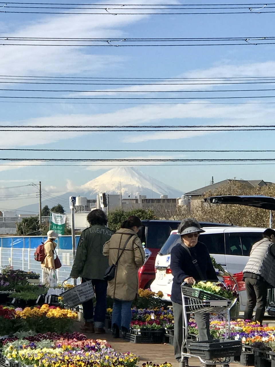 わいわい市　富士山